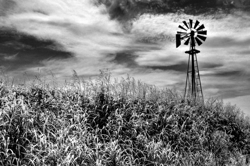 Timeless Monochrome Art: The Power of Simplicity