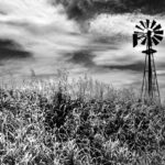Timeless Monochrome Art: The Power of Simplicity